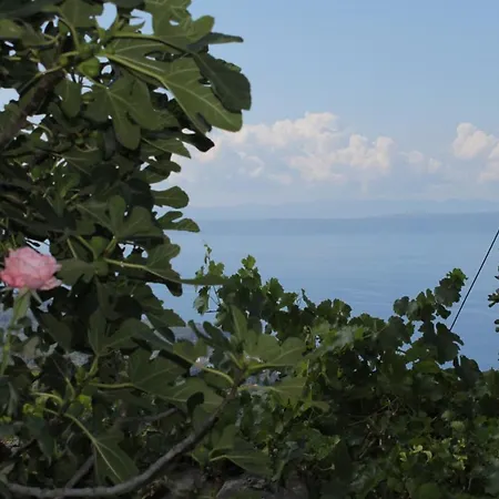Family Friendly House With A Parking Space Gornji - Podpec, Makarska - 6915 Дом отдыха Тучепи